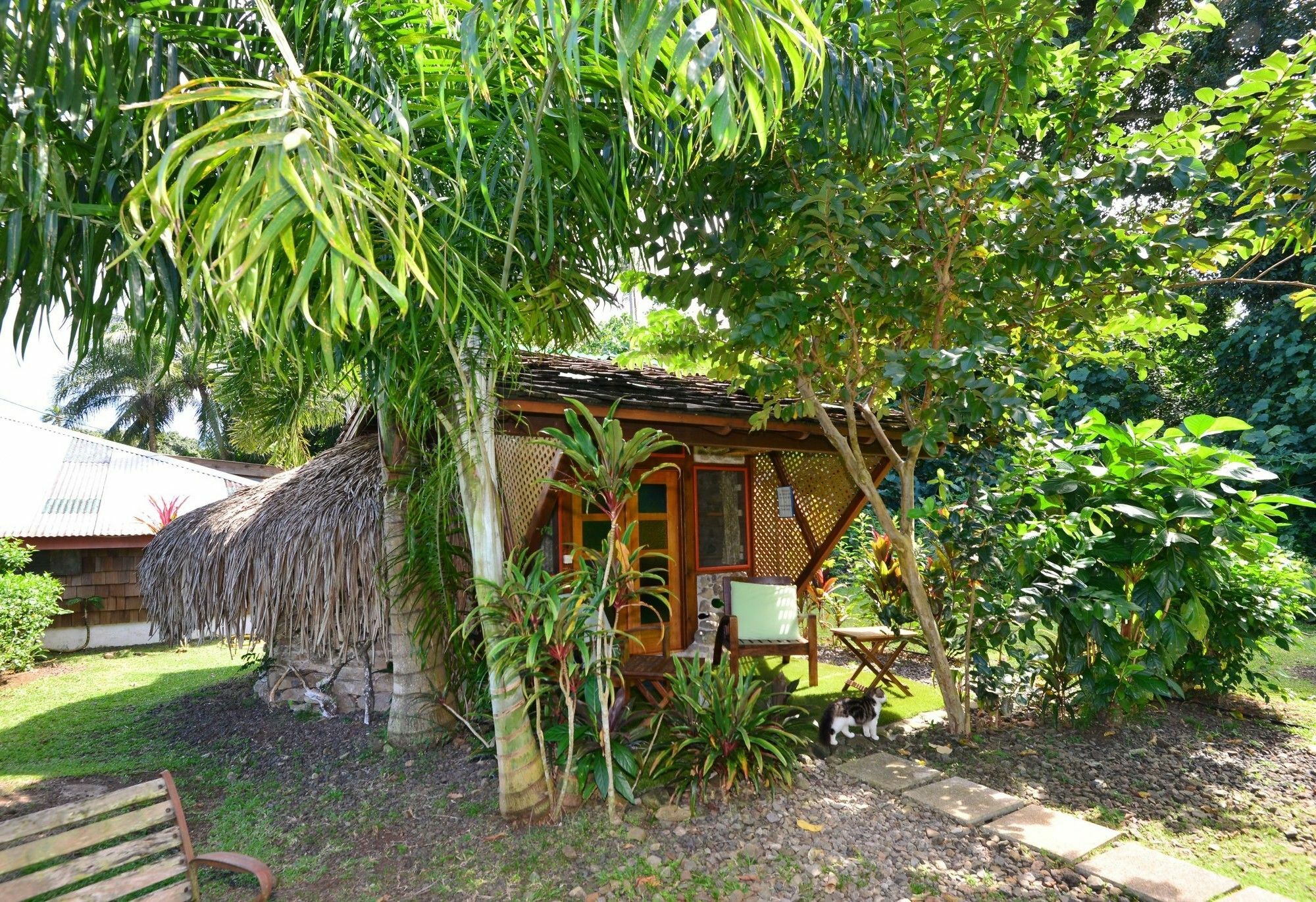 Mark'S Place Moorea Bagian luar foto
